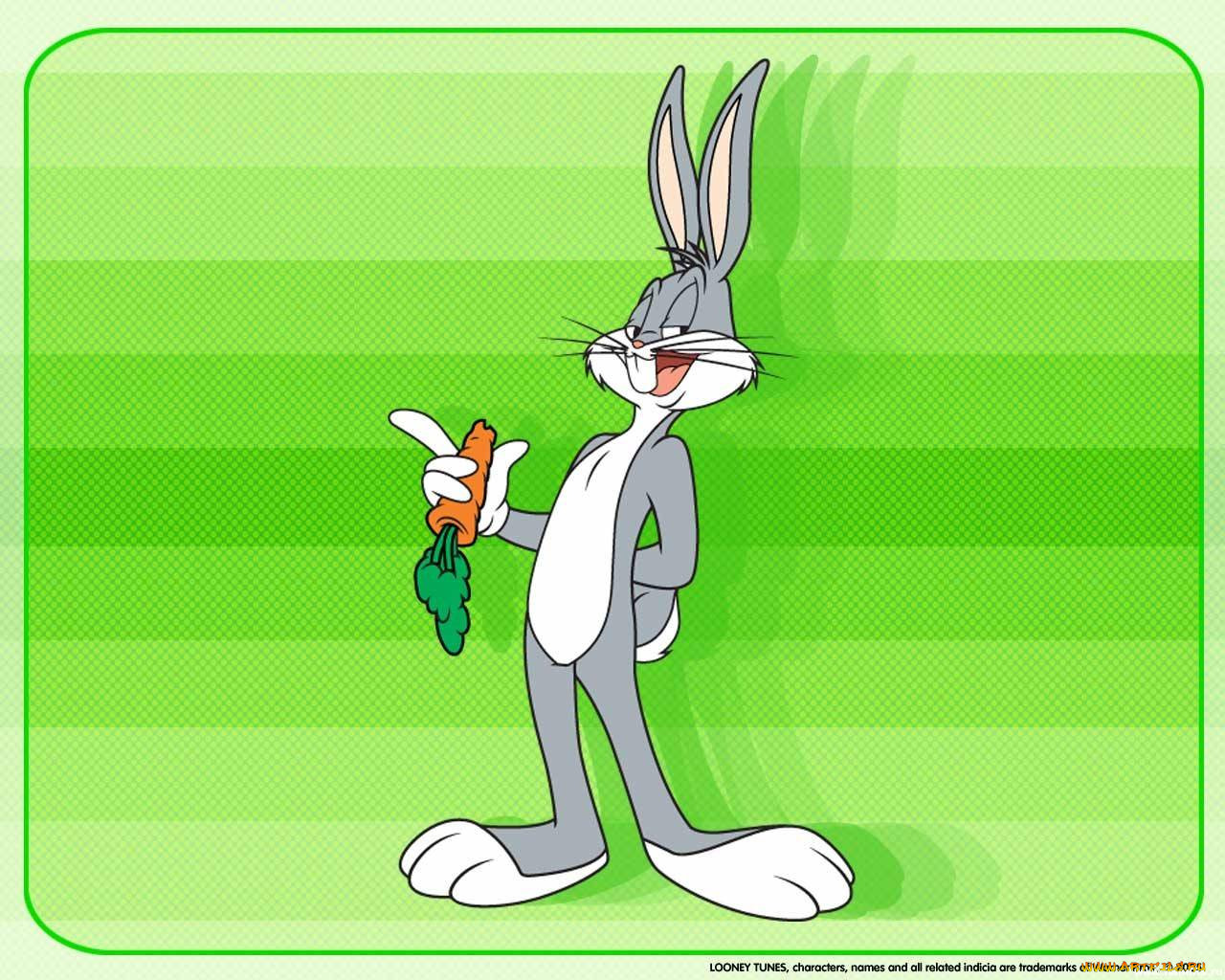 , looney, tunes